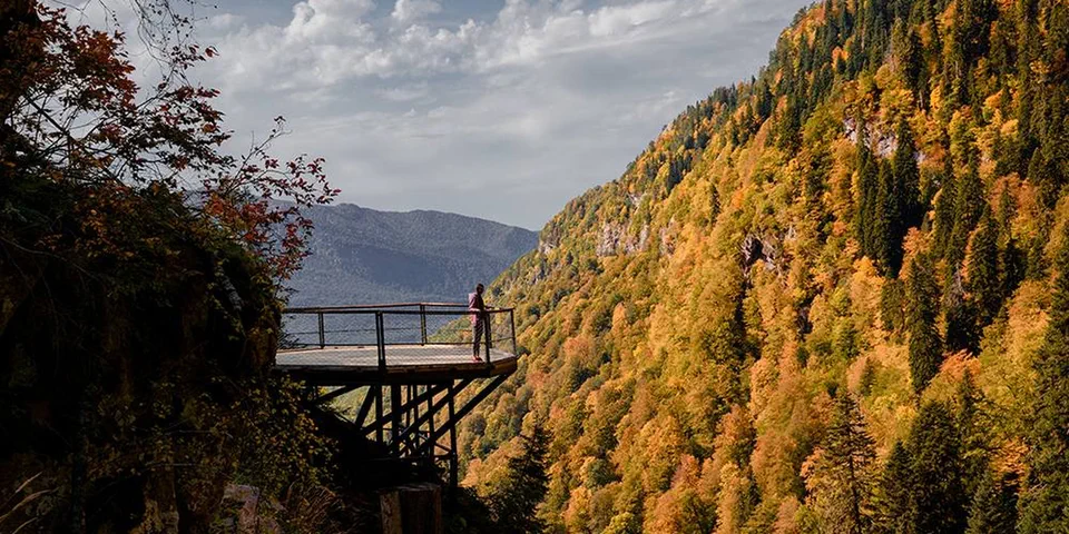 Пакетный тур «Золотая осень» в Rosa Springs